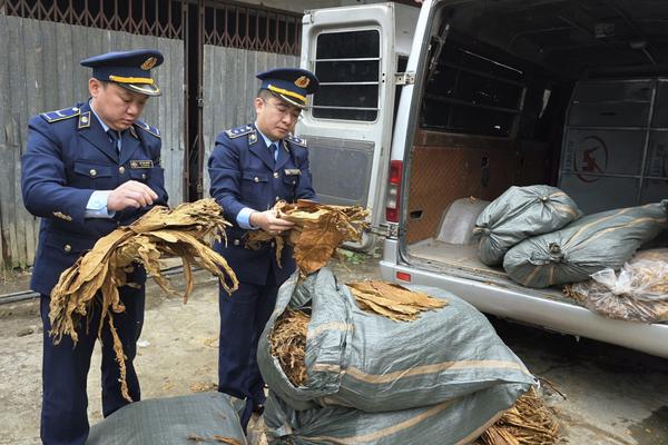 Cao Bằng: Thu giữ 1.231kg nguyên liệu thuốc lá lá sấy khô nhập lậu
