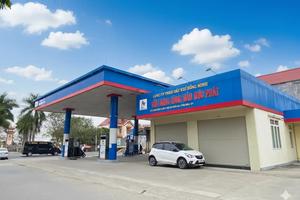 Hải Phòng: Kết luận thanh tra tại Công ty TNHH Dầu khí Hồng Minh