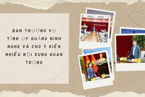 Tỉnh ủy Quảng Ninh cho ý kiến loạt nội dung lớn: Sắp xếp lại mô hình hành chính công, chuẩn bị cho bầu cử 2026 - 2031