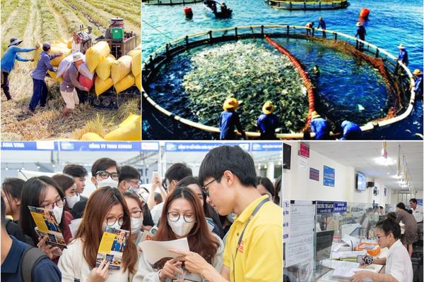 Nông nghiệp phục hồi, công nghiệp tăng trưởng mạnh, doanh nghiệp thành lập mới tiếp tục bứt tốc