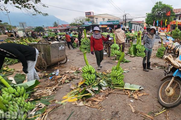 Quảng Trị: Nỗi lo mất an toàn giao thông tại chợ chuối Tân Long khi cận kề Tết