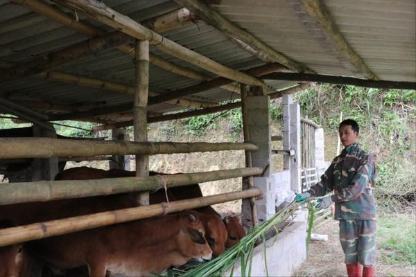 Lạng Sơn: Xã Tân Văn chuyển mình từ rừng đồi, giảm nghèo bền vững từ những mô hình sinh kế xanh