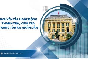 Nguyên tắc hoạt động thanh tra, kiểm tra trong Tòa án nhân dân
