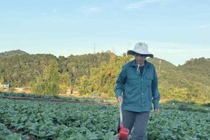 Lạng Sơn: Nông dân Kỳ Lừa khôi phục sản xuất sau bão