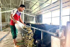 Thông tin dẫn lối, liên kết sản xuất tạo đột phá giảm nghèo bền vững ở xã Hòa Sơn