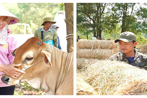 Hơn 120 mô hình sinh kế tạo chuyển biến mạnh mẽ trong công tác giảm nghèo ở Huế