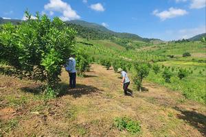 Đầu tư trọng tâm, trọng điểm tạo “cú huých” giảm nghèo