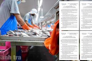 Thanh tra tỉnh Cà Mau chỉ ra loạt hạn chế, thiếu sót tại 4 doanh nghiệp thủy sản