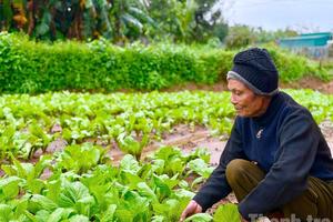 Xã Ea Kar bứt phá trong hành trình giảm nghèo bền vững