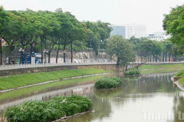 Góp ý vào dự thảo Văn kiện Đại hội XIV của Đảng: Khi bảo vệ môi trường trở thành nhiệm vụ trung tâm