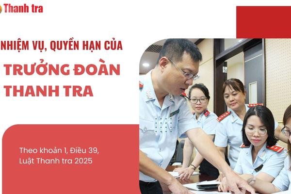 Trưởng đoàn thanh tra có quyền hạn, nhiệm vụ gì?