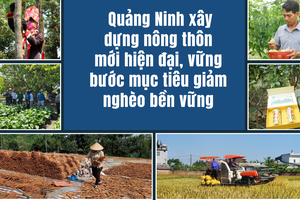 Quảng Ninh nâng tầm nông thôn mới, hướng tới phát triển bền vững vì người dân