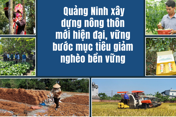 Quảng Ninh nâng tầm nông thôn mới, hướng tới phát triển bền vững vì người dân