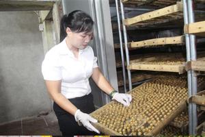 Phụ nữ là “hạt nhân” tiên phong trong xóa đói giảm nghèo