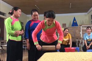 Phát triển Giáo dục nghề nghiệp - Mở đường cho sinh kế bền vững vùng nghèo, vùng khó khăn