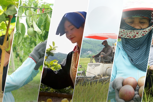 Quảng Ninh tạo sinh kế dài hạn từ nền tảng an sinh bền vững