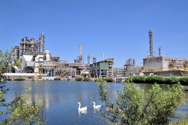 BSR chủ động vượt “bão” năm 2026