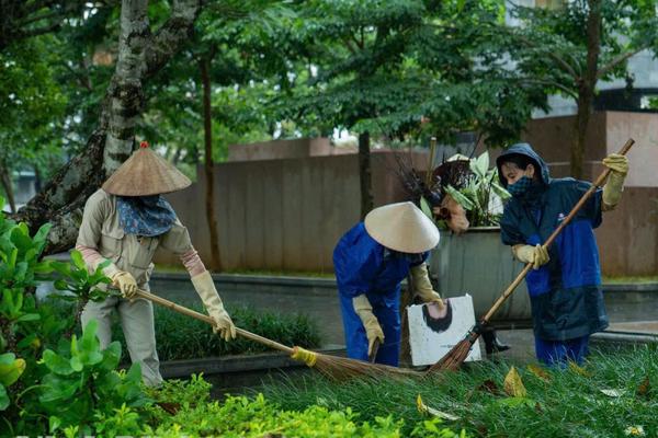 Ninh Bình: 100% kinh phí vận chuyển, xử lý rác thải sinh hoạt được ngân sách chi trả từ 1/1/2026