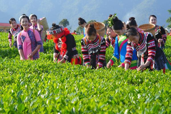 Thái Nguyên giảm nghèo vượt kế hoạch, hướng tới phát triển bền vững