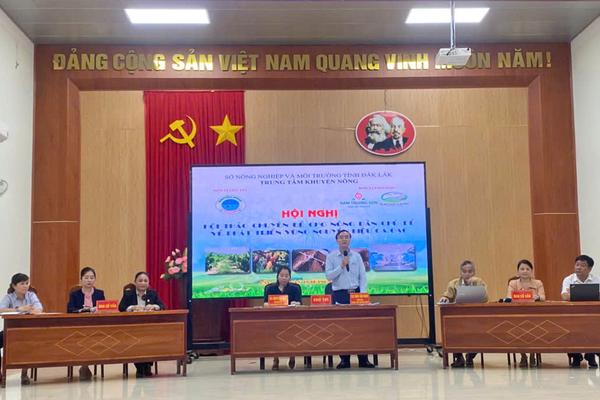 Gắn vùng nguyên liệu với chế biến sâu, “chìa khóa” nâng tầm ca cao Đắk Lắk