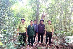 Quảng Trị: Trưởng bản Cổ Tràng, người gìn giữ “lá phổi xanh” cho đại ngàn Trường Sơn