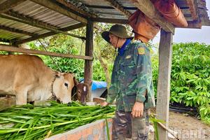 Đưa lao động đi làm việc ở nước ngoài, mở lối thoát nghèo bền vững ở Cư Pui