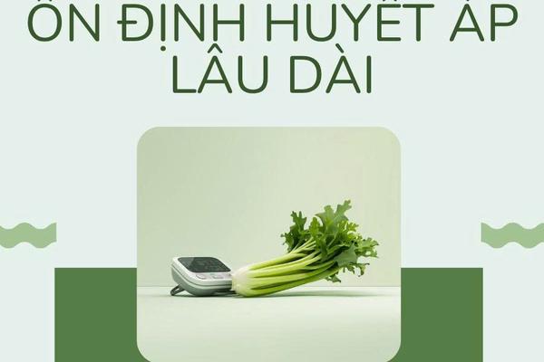 Giải pháp mới giúp ổn định huyết áp và bảo vệ hệ tim mạch tại nhà