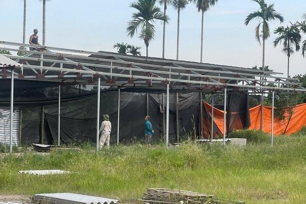 Hải Phòng: Quy trách nhiệm toàn diện cho Chủ tịch UBND cấp xã để xảy ra vi phạm đất đai