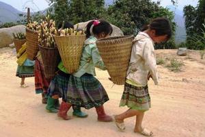 Lạm dụng, bóc lột trẻ em có thể bị phạt đến 50 triệu đồng