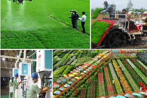 Tỉnh Đồng Tháp xây dựng kịch bản tăng trưởng kinh tế 2026 cao hơn, toàn diện và hiệu quả hơn