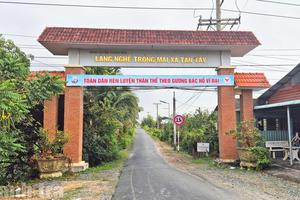 Mai vàng khoe sắc, cuộc sống đổi thay