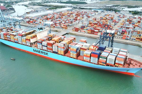 Gần 500 container chè Việt Nam bị ách tắc tại Cảng Karachi: Bộ Công Thương nói gì?