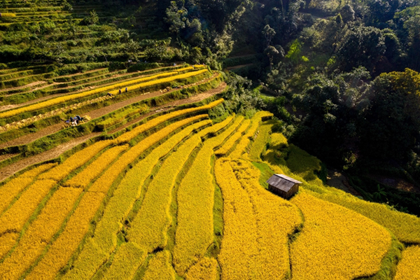 Khi chính sách trở thành điểm tựa trên vùng cao biên giới