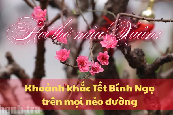 Hơi thở mùa Xuân trên mọi nẻo đường
