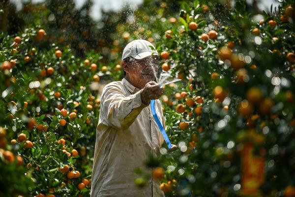Thưởng Tết Nguyên đán tại Đà Nẵng có sự chênh lệch lớn