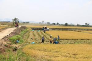 Lâm Đồng: Chương trình Mục tiêu quốc gia giảm nghèo bền vững mang lại nhiều đổi thay ở Nam Đà