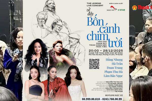 Cần làm rõ tính pháp lý trong việc huỷ live concert "Về đây bốn cánh chim trời"