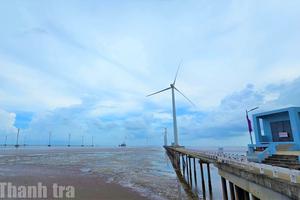 Cà Mau: Khát vọng phát triển xanh từ tầm nhìn kinh tế biển và năng lượng tái tạo