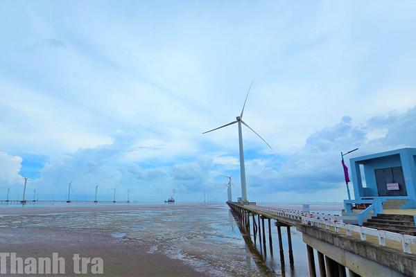 Cà Mau: Khát vọng phát triển xanh từ tầm nhìn kinh tế biển và năng lượng tái tạo