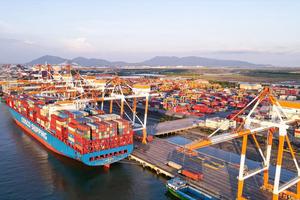 Giải phóng gần 500 container chè Việt Nam bị kẹt ở Pakistan