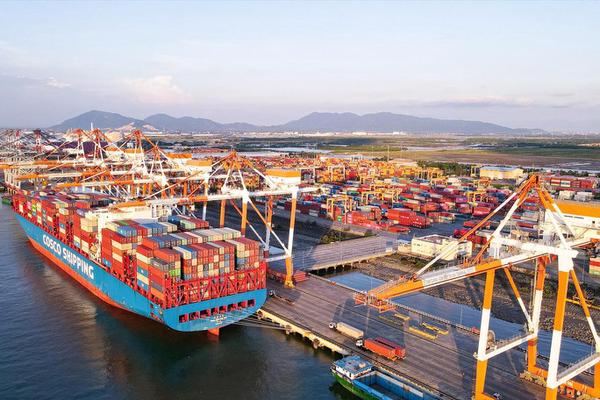 Giải phóng gần 500 container chè Việt Nam bị kẹt ở Pakistan