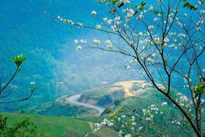 Hương Tết từ những triền núi