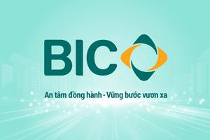 BIC ra mắt nhận diện thương hiệu mới