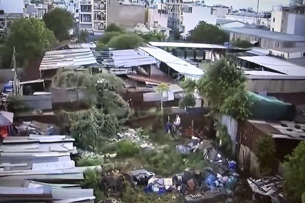 UBND Thành phố Hồ Chí Minh báo cáo gì về vụ việc liên quan đến Dự án Trường Tiểu học Trần Tế Xương?