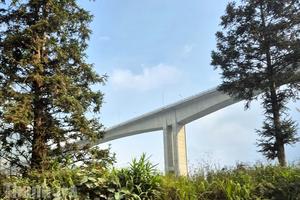 Lào Cai bảo vệ tốt 865 nghìn ha rừng, thuộc nhóm đầu cả nước