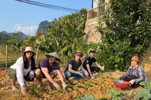 Du lịch Lạng Sơn đầu năm 2026 đầy khởi sắc