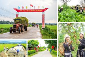 Cả nước có hơn 18 nghìn sản phẩm OCOP đạt từ 3 sao