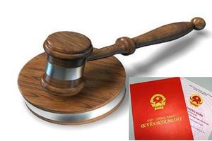 Người trúng đấu giá không nộp tiền trúng đấu giá sẽ bị cấm tham gia đấu giá tới 5 năm