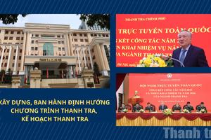 Xây dựng, ban hành Định hướng chương trình thanh tra, kế hoạch thanh tra