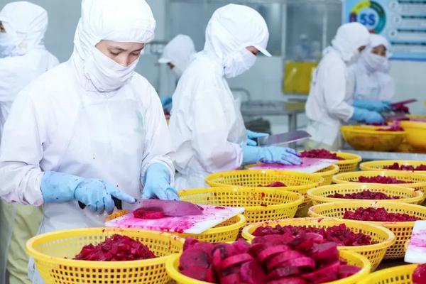 Điểm tên nông sản xuất khẩu vượt 8 tỷ USD, kỳ vọng rau quả đạt 10 tỷ USD năm 2026